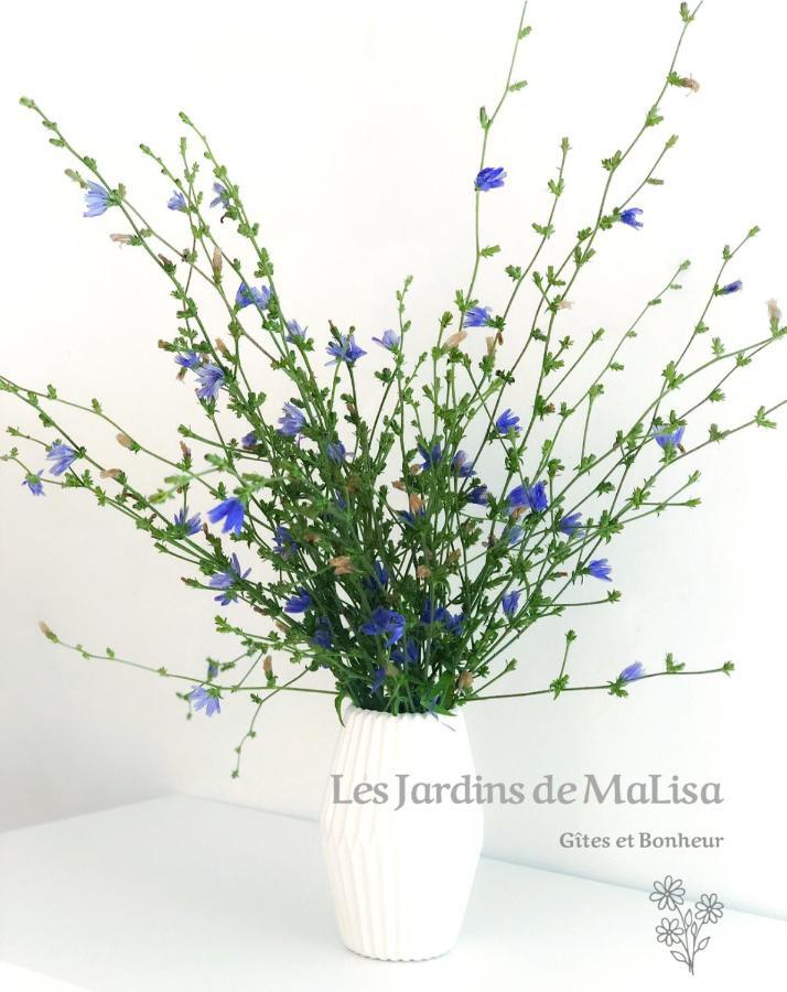 Les Jardins De Malisa Hotel Ferrieres-la-Verrerie Buitenkant foto